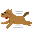 animal2